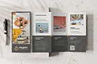 Marketing Materials & Creative Prints